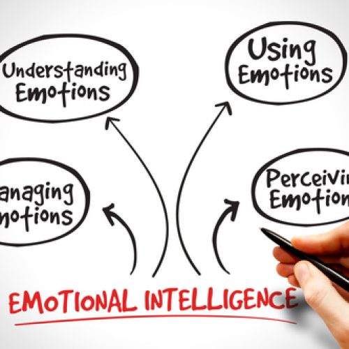 Emotional intelligence: a necessary skill for a leader